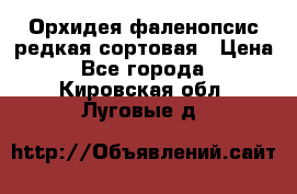 Орхидея фаленопсис редкая сортовая › Цена ­ 800 - Все города  »    . Кировская обл.,Луговые д.